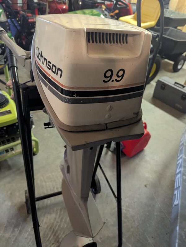 Johnson 9.9